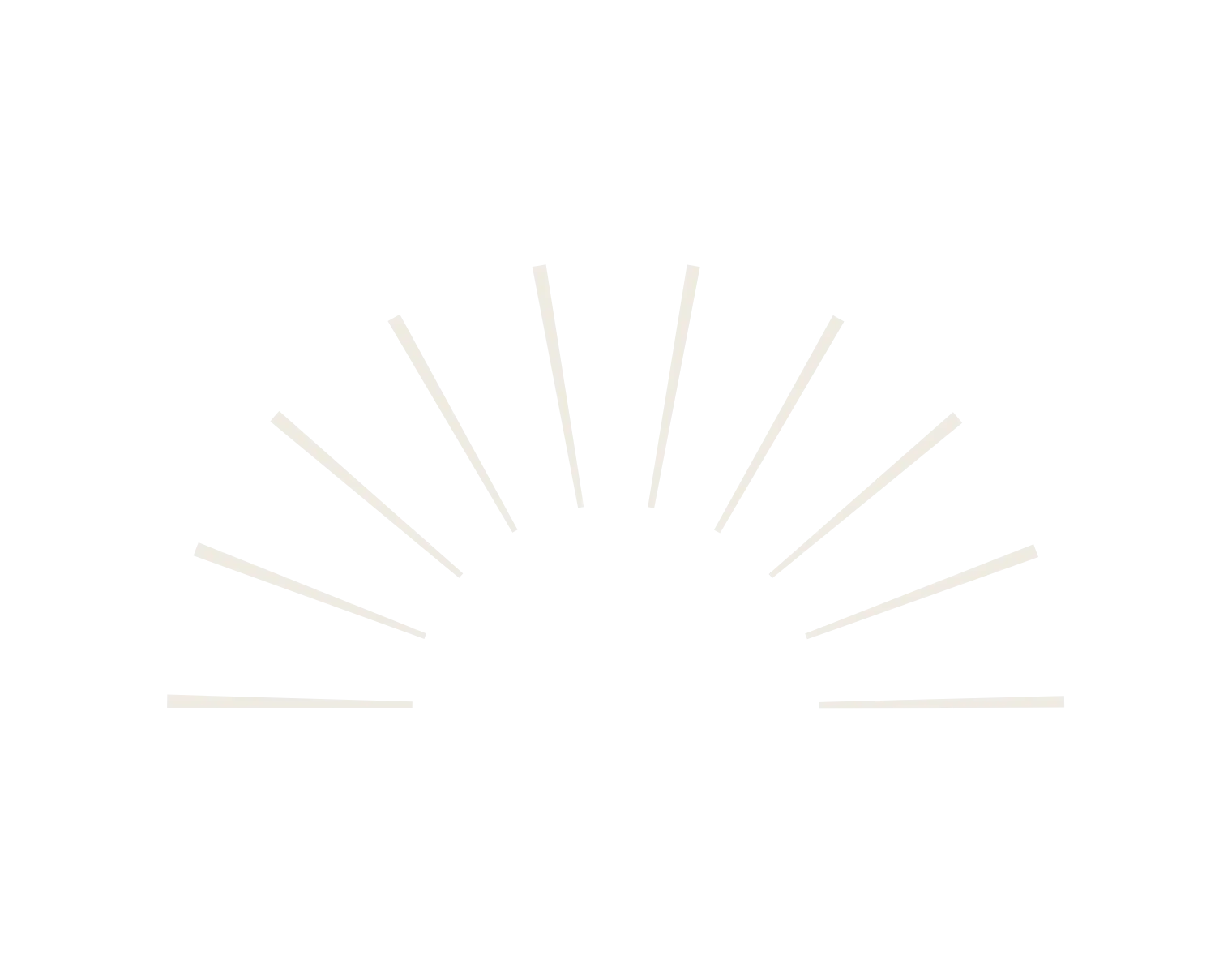 untitled design 12